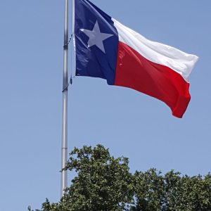 10'X15' Texas Flag | Poly-Max