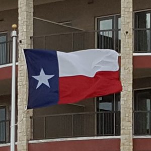 6'X10' Texas Flag | Nylon