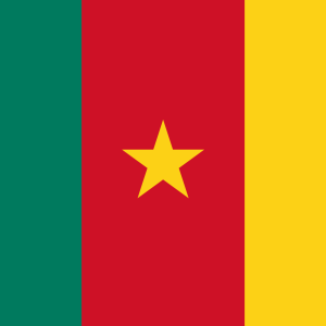 Cameroon Flag