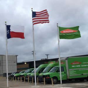 20' Sentry Series Flagpole | Internal Rope Halyard