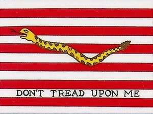 1st Navy Jack Flag | 3'X5' Nylon