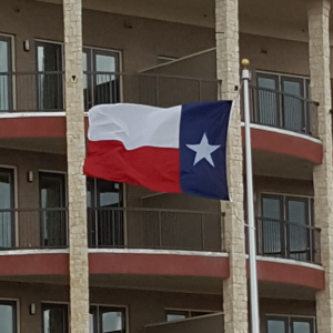 8'X12' Texas Flag | Nylon