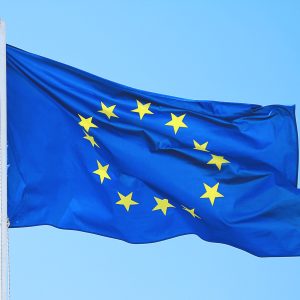 European Union Flag