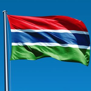 Gambia Flag