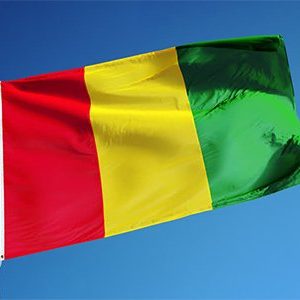Guinea Flag