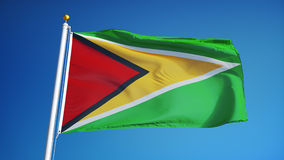 Guyana Flag
