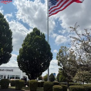 60' Patriot Series Flagpole Powered by The Flag System™