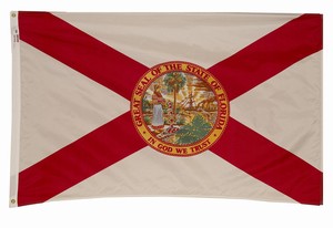 Flag of Florida with a red saltire and state seal in the center.
