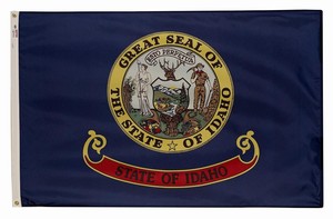 Flag of the state of Ohio with its distinctive circular seal.