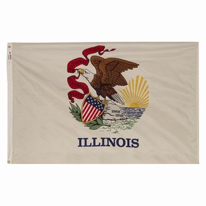 Flag of Illinois featuring a bald eagle and state symbols.