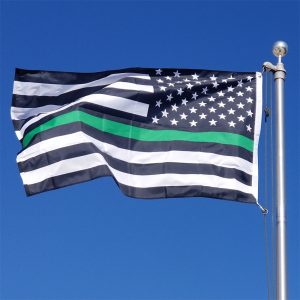 Thin green line flag waving against a clear blue sky.