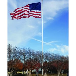 American flag above trees and stop sign