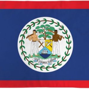 Flag of Belize with distinct red