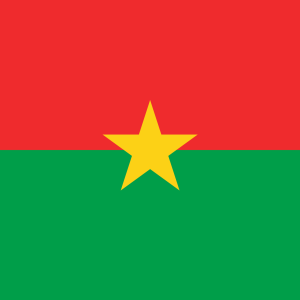 Flag with red top