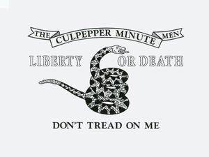 Historical Gadsden flag with coiled rattlesnake and liberty message.