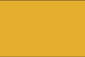 Solid mustard yellow square background with no patterns or textures.