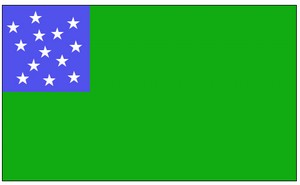 Green flag with a blue canton containing white stars.