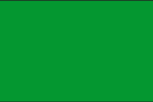Solid green square with no patterns or designs.
