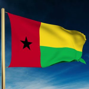 Flag of Guinea-Bissau waving against a blue sky.