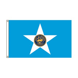 Flag with a large white star and a circular emblem in the center on a blue background.