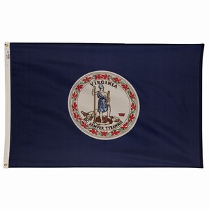 Flag of Virginia with state seal on blue background.